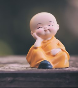 Think like a monk summary in Hindi